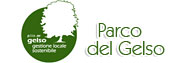 vai a Parco del Gelso