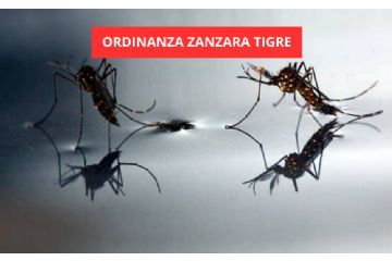Ordinanza contingibile e urgente 