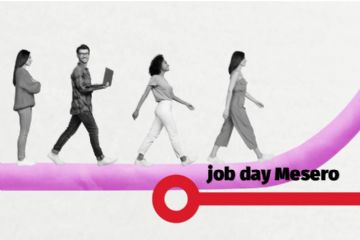 Job Day
